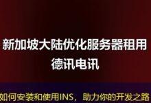 如何安装和使用INS，助力你的开发之路-ddos