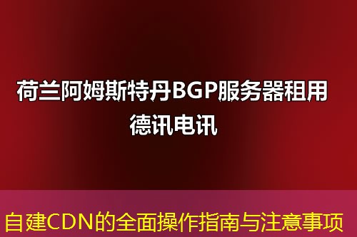 自建CDN的全面操作指南与注意事项