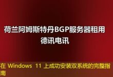 在 Windows 11 上成功安装双系统的完整指南-ddos