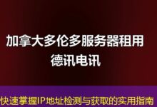 快速掌握IP地址检测与获取的实用指南-ddos