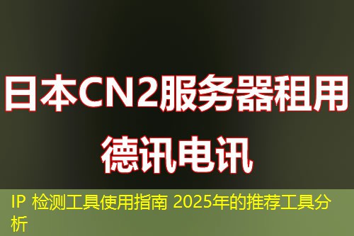 IP 检测工具使用指南 2025年的推荐工具分析