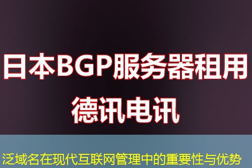 泛域名在现代互联网管理中的重要性与优势
