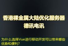 为什么选择Vue进行移动开发可以带来哪些优势和便利？-ddos