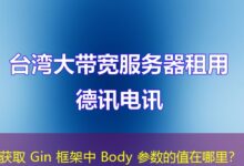 获取 Gin 框架中 Body 参数的值在哪里？-ddos