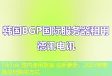 TikTok 国内使用指南 最新更新，2025年推荐最佳购买方式-ddos