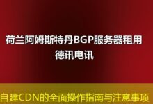 自建CDN的全面操作指南与注意事项-ddos