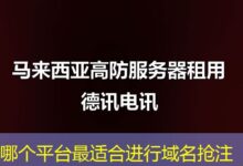 哪个平台最适合进行域名抢注-ddos