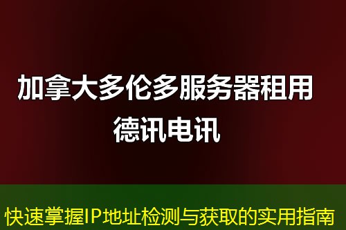 快速掌握IP地址检测与获取的实用指南
