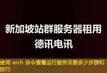 使用 arch 命令查看运行服务需要多少步骤和技巧-ddos